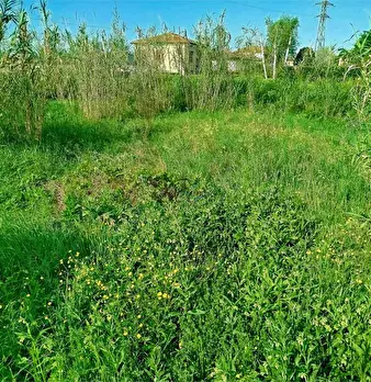 Foto annuncio 7