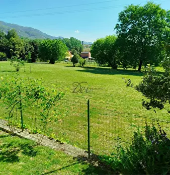 Foto annuncio 37
