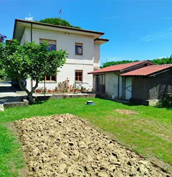 Foto annuncio 6