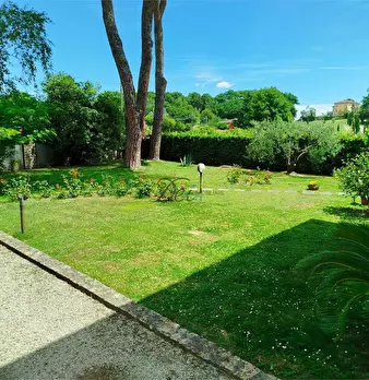 Foto annuncio 43