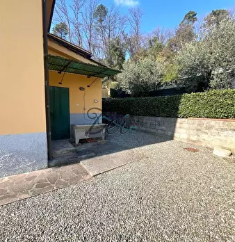 Foto annuncio 31