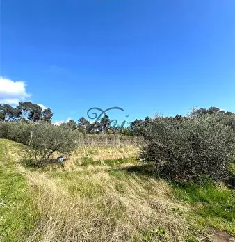Foto annuncio 24