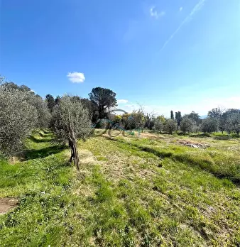 Foto annuncio 25
