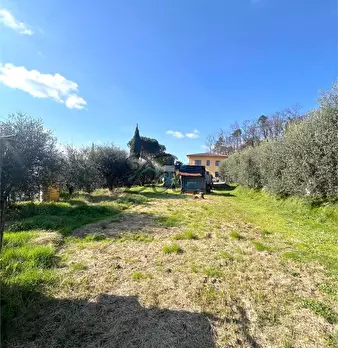 Foto annuncio 26