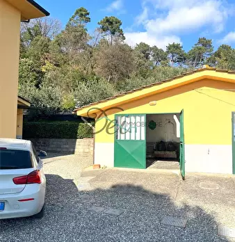 Foto annuncio 29