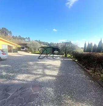 Foto annuncio 27