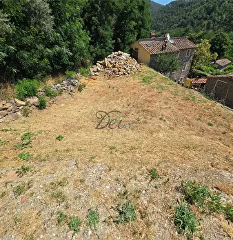 Foto annuncio 48