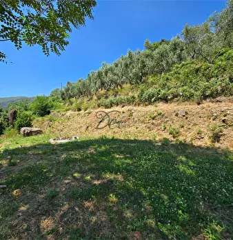 Foto annuncio 49