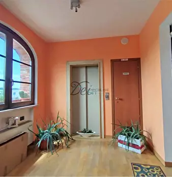 Foto annuncio 40