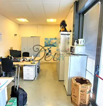 Foto annuncio 10