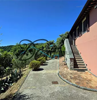 Foto annuncio 12
