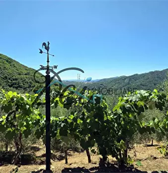 Foto annuncio 13