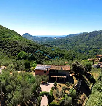 Foto annuncio 6
