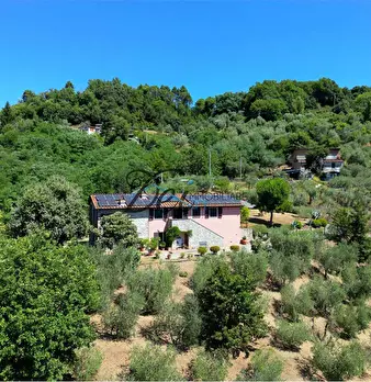 Foto annuncio 8