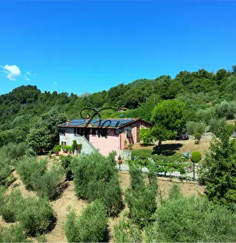 Foto annuncio 2