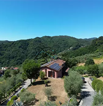 Foto annuncio 11