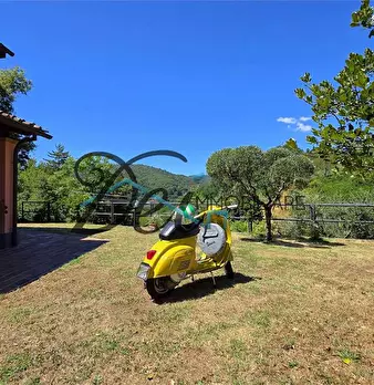 Foto annuncio 9