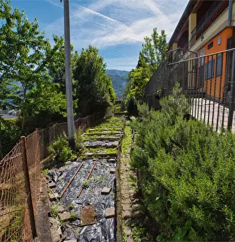 Foto annuncio 38