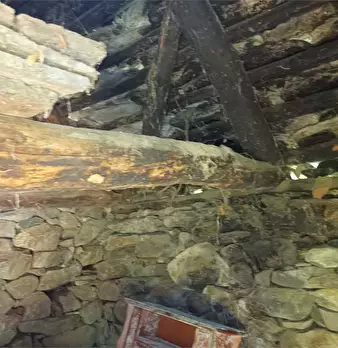 Foto annuncio 35