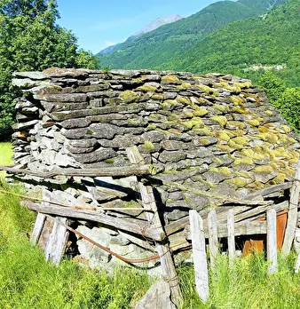 Foto annuncio 32