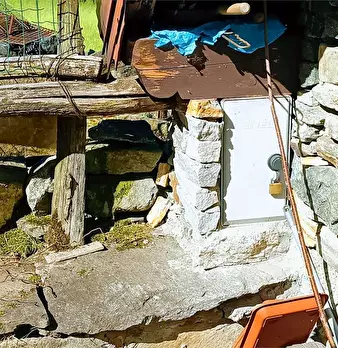 Foto annuncio 40