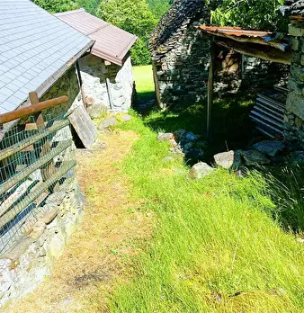 Foto annuncio 57