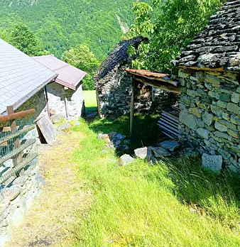 Foto annuncio 58
