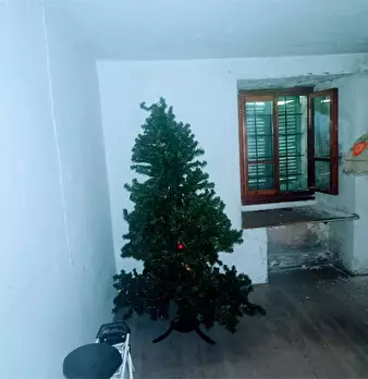 Foto annuncio 41