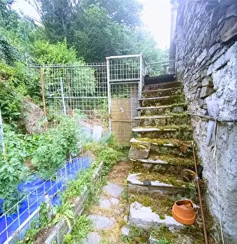 Foto annuncio 11