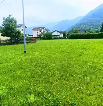 Foto annuncio 21