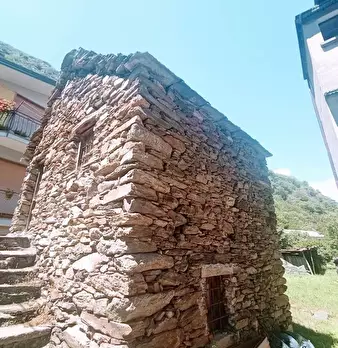Foto annuncio 14