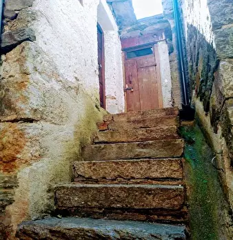 Foto annuncio 49