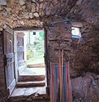 Foto annuncio 25