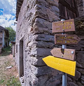 Foto annuncio 40