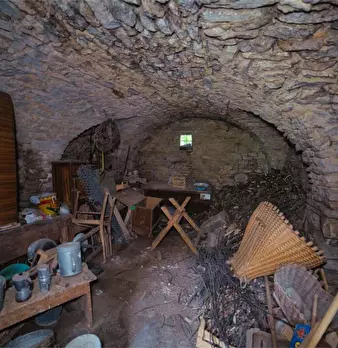 Foto annuncio 31