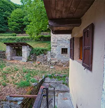 Foto annuncio 35
