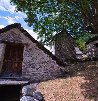 Foto annuncio 2