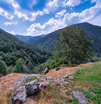 Foto annuncio 9