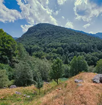 Foto annuncio 14