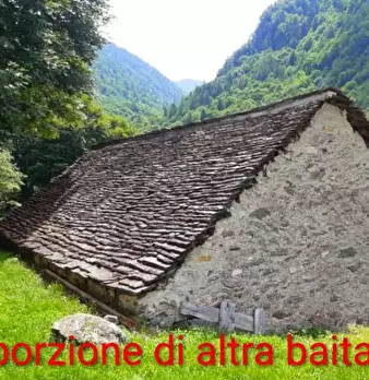 Foto annuncio 11