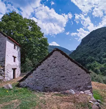 Foto annuncio 22