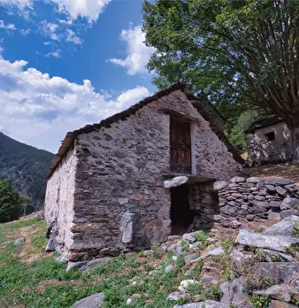 Foto annuncio 1