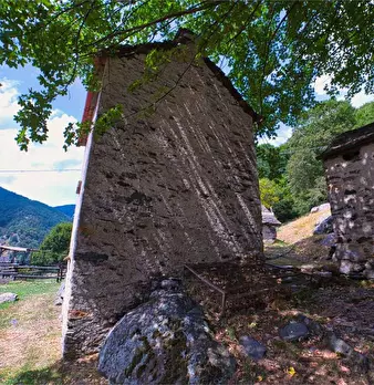 Foto annuncio 38
