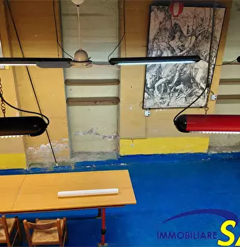 Foto annuncio 8