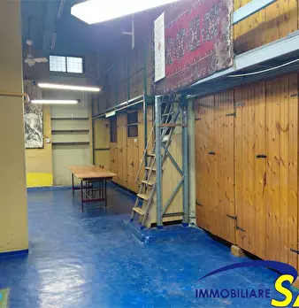 Foto annuncio 15