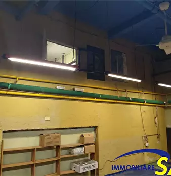 Foto annuncio 19