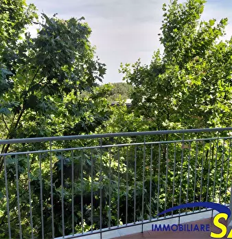 Foto annuncio 19