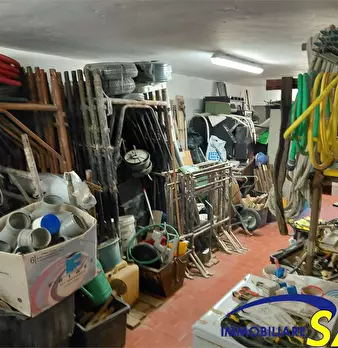Foto annuncio 6