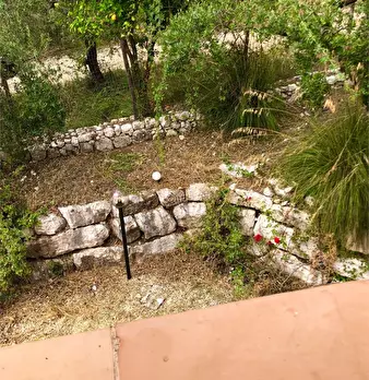 Foto annuncio 42
