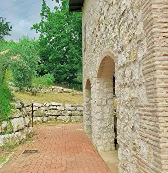 Foto annuncio 45